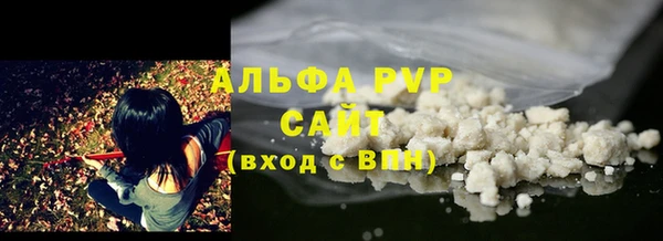 шишки Арсеньев