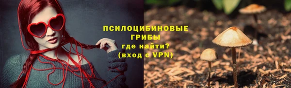 шишки Арсеньев
