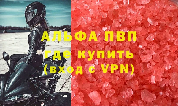 шишки Арсеньев