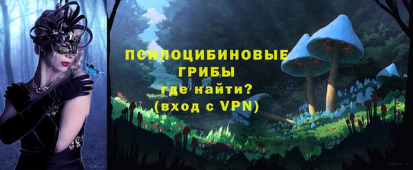 mdpv Покачи