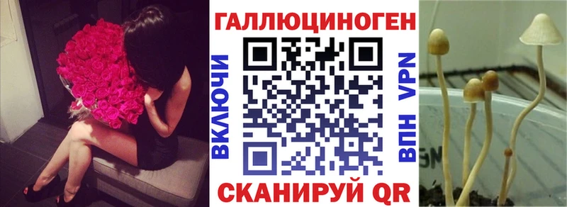 продажа наркотиков  Белово  Псилоцибиновые грибы Cubensis 